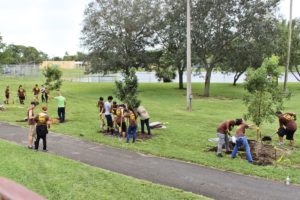 New Trees Planted at Gwen Cherry Park